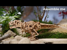 Loading and playing videos in the gallery viewer,Tyrannosaurus Rex