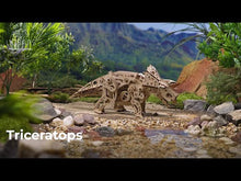 Laden und Abspielen von Videos im Galerie-Viewer, Triceratops

