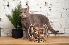 Load image into Gallery viewer, AQUARIUM