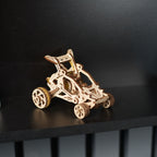 Desert-Buggy