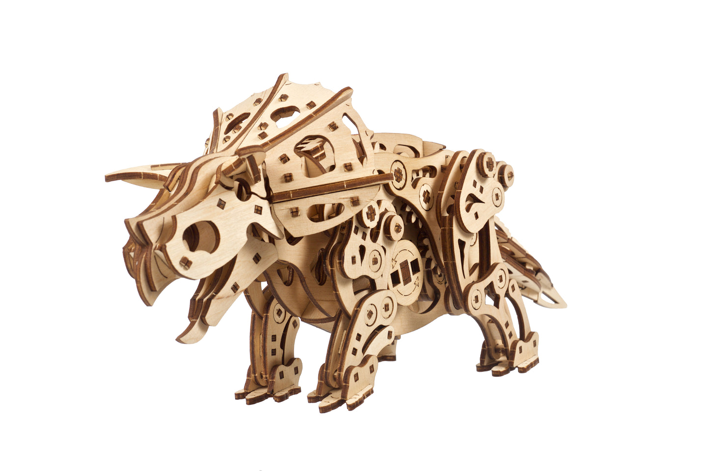 Triceratops