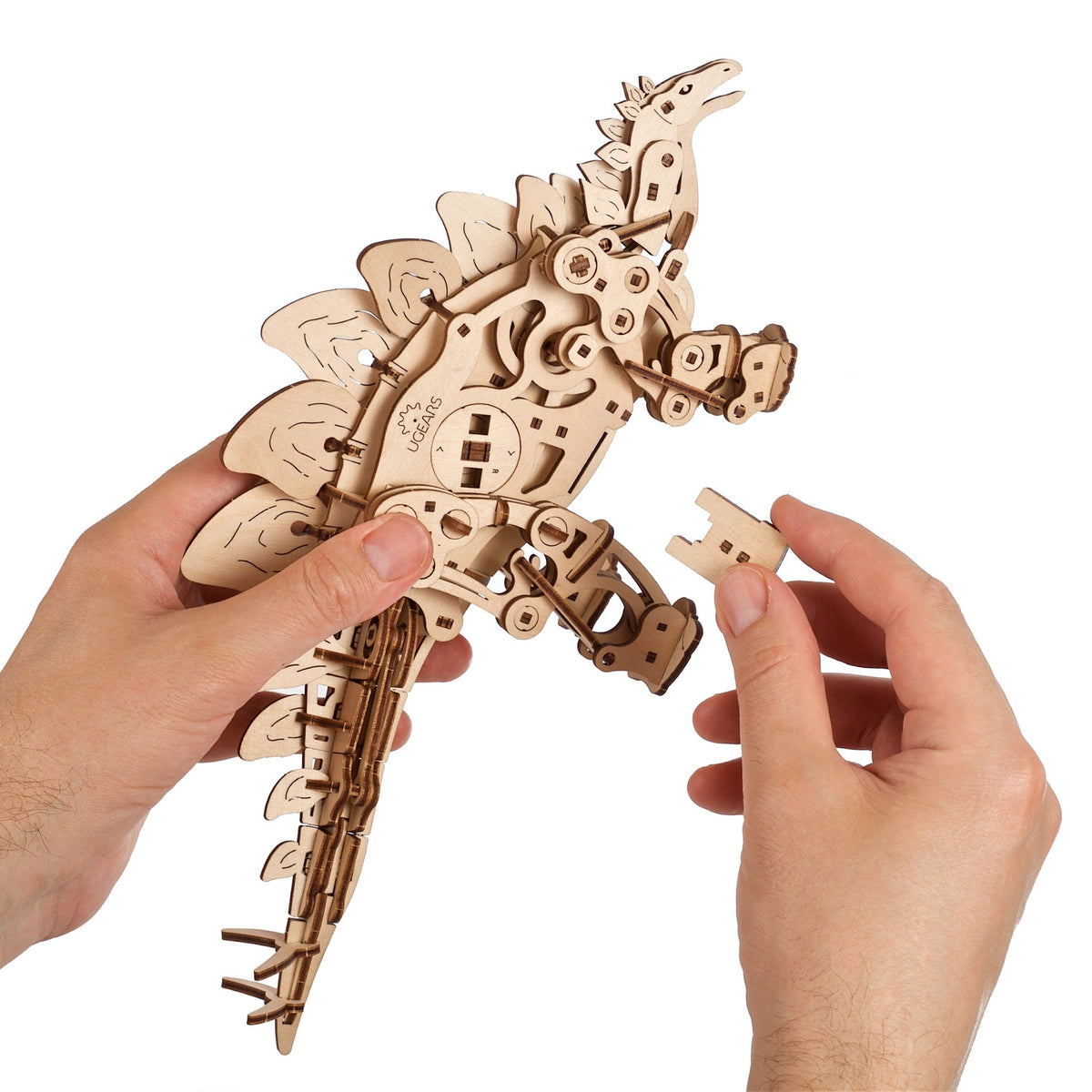 Stegosaurus – Bild 4