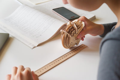 KURVIMETER (MINT LAB)