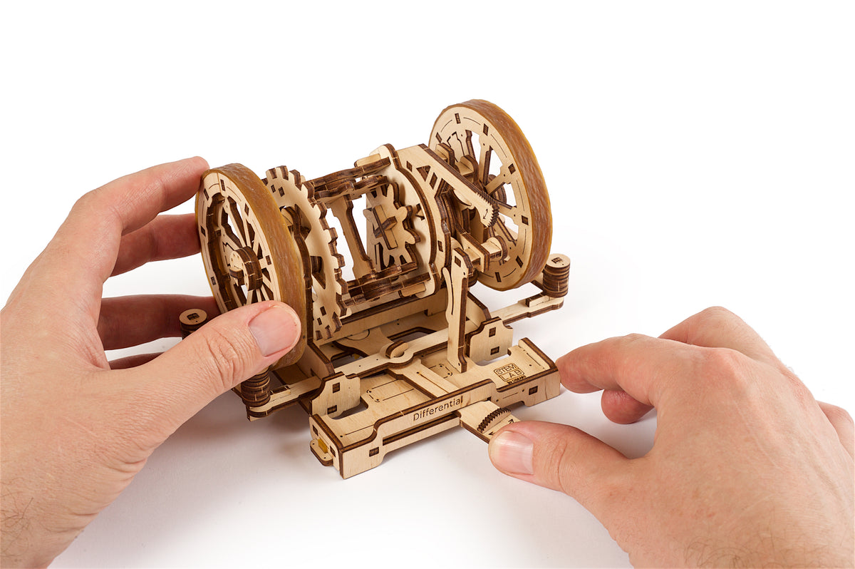 DIFFERENTIAL (MINT LAB)