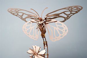BUTTERFLY