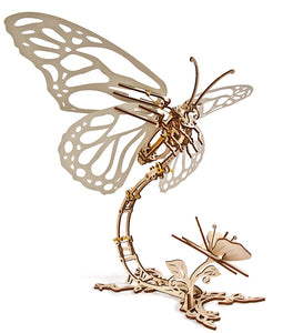 BUTTERFLY