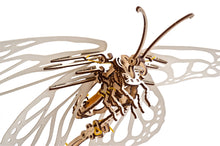 Load image into Gallery viewer, BUTTERFLY
