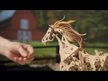 Loading and playing videos in the gallery viewer,MECHANICAL HORSE

